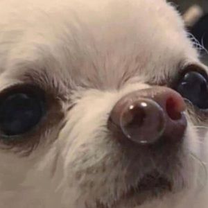 Meet your Posher, Jared